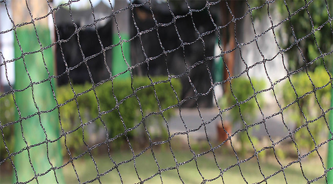 anti bird net in Ernakulam